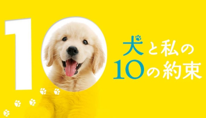 映画 犬と私の10の約束の無料動画配信とフル動画の無料視聴まとめ