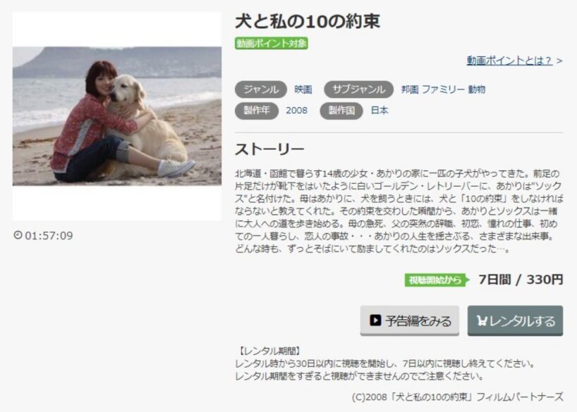 犬と私の10の約束 無料動画