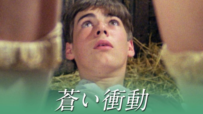 蒼い衝動 無料動画